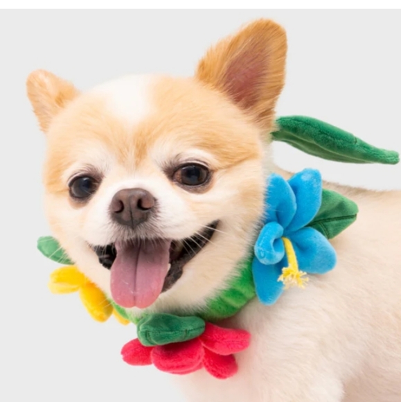 🎄5/$30🎄Tug, Dog Necklace/Toy - Picture 1 of 4